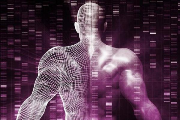 آیا ژن ها در طول عمر انسان تاثیرگذار هستند؟