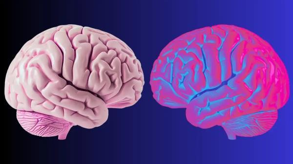 مرز من کجاست؟ امواج مغزی ای که حس مالکیت بدن و هویت شخصی را شکل می دهند