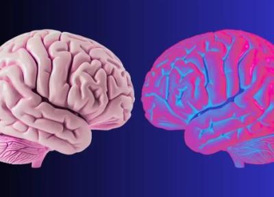 مرز من کجاست؟ امواج مغزی ای که حس مالکیت بدن و هویت شخصی را شکل می دهند